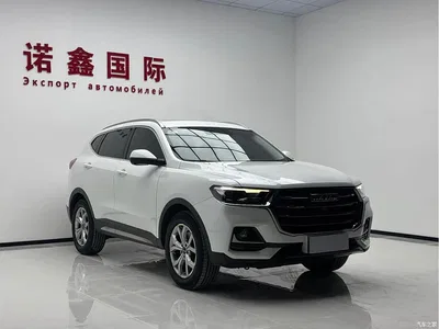 2021 Haval H6 Model National Trend Edition 1.5T Auto Champion, фото 3, лот 10282569
