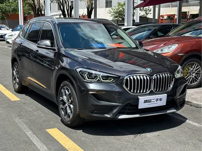 2022 BMW X1 sDrive25Li Leading, фото 3, лот 11191685
