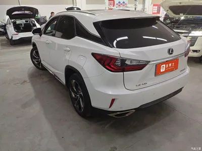2016 Lexus RX 300 4WD Elegance Edition China VI, фото 3, лот 10383141