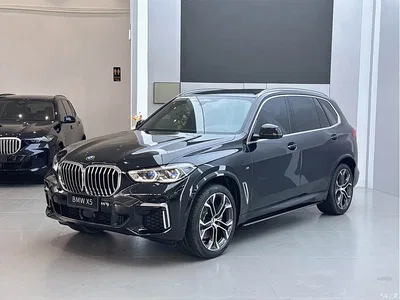 2022 BMW X5 Facelift xDrive 40Li Premium M Sport Package, фото 1, лот 10462722