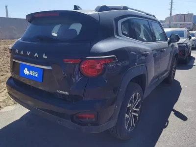 2023 Haval Da Gou 2nd Gen 2.0T 2WD Trendy Off-road Edition Plus, фото 3, лот 10306287