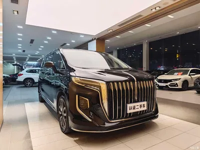 2023 Hongqi HQ9 2.0T Smart Connect Flag Rhyme Edition, фото 4, лот 10285478