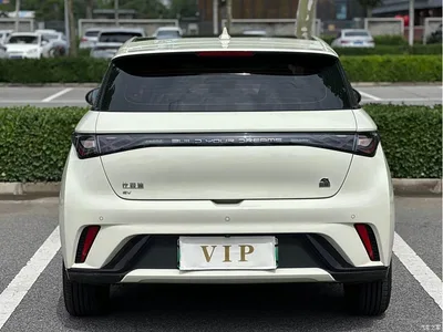 2021 BYD Dolphin Model 405km Fashion Edition, фото 4, лот 10252892