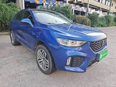 2017 WEY VV5 2.0T Super Luxury Model, фото 4, лот 10452212