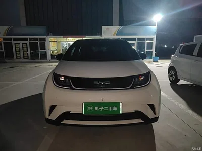 2025 BYD Dolphin 420km Freedom Edition, фото 3, лот 10689092