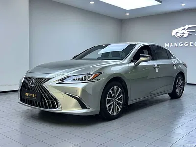 2023 Lexus ES 260 Excellence, фото 1, лот 10317912