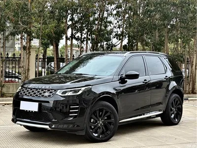 2024 Land Rover Discovery Sport Luxury Custom Edition, фото 1, лот 10449121