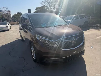 2018 Buick GL8 ES 28T Premium Type China VI, фото 3, лот 10257616