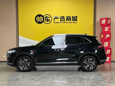 2022 Hongqi HS5 2.0T Smart Connect Premium Edition, фото 4, лот 10443089