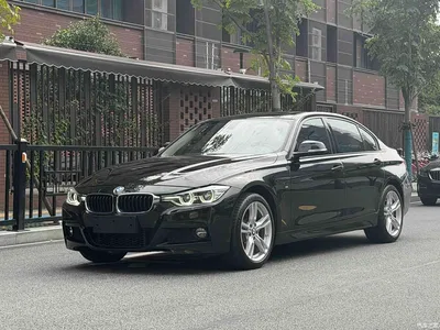 2018 BMW 3 Series 320Li Leading M Sport Package, фото 1, лот 11547699