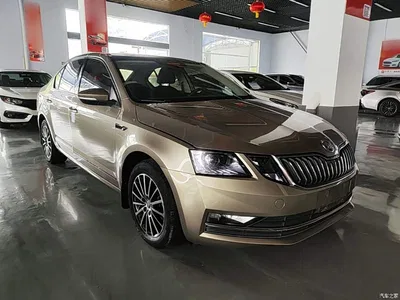 2019 Škoda Octavia 1.5L Automatic Smart Luxury China VI, фото 4, лот 10348007