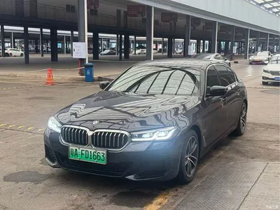 2021 BMW 5 Series New Energy Facelift 535Le M Sport Package, фото 1, лот 10684796