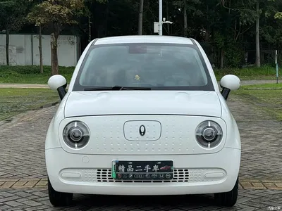2021 Ora Black Cat 301km Basic Model, фото 2, лот 10331538