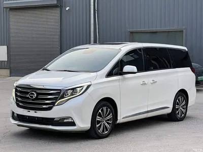 2018 GAC Trumpchi Trumpchi M8 320T Premium Edition, фото 2, лот 10423413
