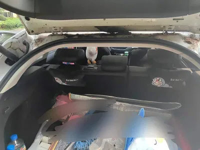 2020 Haval F7 1.5T 2WD i-Trend, фото 4, лот 11102109