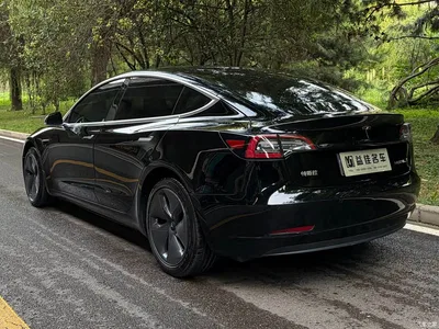 2020 Tesla Model 3 Facelift Standard Range RWD Upgrade, фото 4, лот 11449004