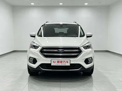 2019 Ford Kuga EcoBoost 180 FWD Luxury Edition China V, фото 2, лот 10808413
