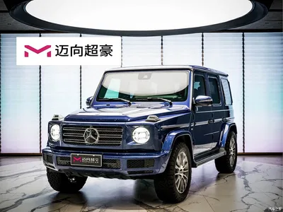 2019 Mercedes-Benz G-Class G 500, фото 1, лот 10280502