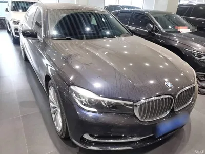 2018 BMW 7 Series 730Li Leading Type Excellence Package, фото 4, лот 11137092