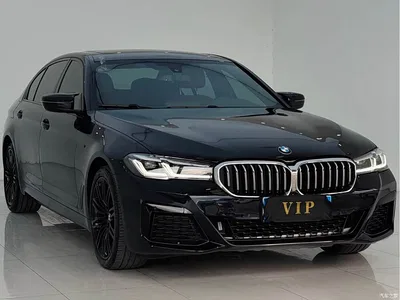 2019 BMW 5 Series 530Li Leading M Sport Package, фото 1, лот 10774688