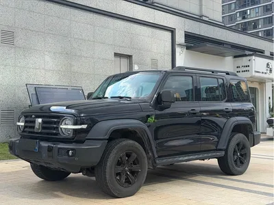 2021 Tank 300 Off-road Version 2.0T Conqueror, фото 3, лот 10344708