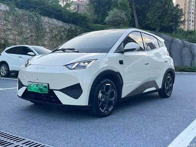 2025 BYD Seagull Smart Drive Edition 305km Freedom Version, фото 1, лот 10393820