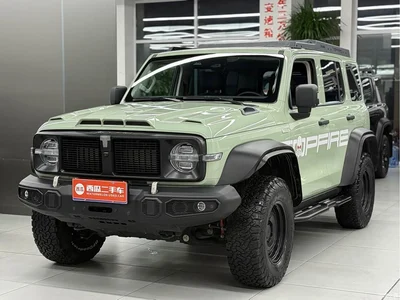 2021 Tank 300 2.0T Wind Forest Iron Cavalry, фото 1, лот 10344639