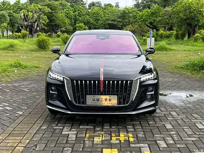 2025 Hongqi H5 2.0T Automatic Flag Celebration 500,000 Units Anniversary Edition, фото 2, лот 10288359