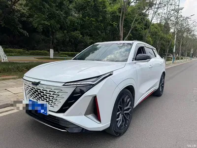 2022 Oshan Z6 Blue Whale 1.5T DCT Intelligent Leader, фото 1, лот 10407977