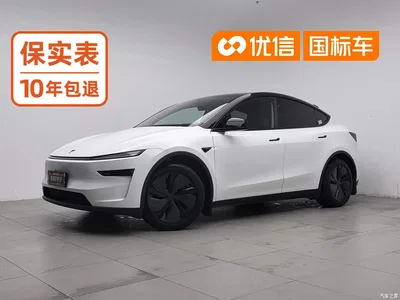 2025 Tesla Model Y Model Rear-Wheel Drive Launch Edition, фото 1, лот 11074783