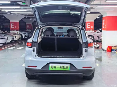2021 Leapmotor C11 Model Premium Edition, фото 2, лот 10317974