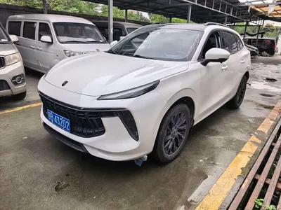 2021 Dongfeng Fengxing T5 EVO 1.5TD DCT Starlight Edition, фото 1, лот 11249036