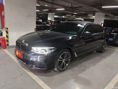 2020 BMW 5 Series 530Li Leading M Sport Package, фото 1, лот 11194398