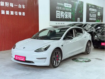 2022 Tesla Model 3 Performance High-Performance AWD, фото 1, лот 10356488