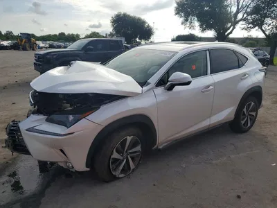 2019 LEXUS NX 300 BASE, фото 1, лот 11588741
