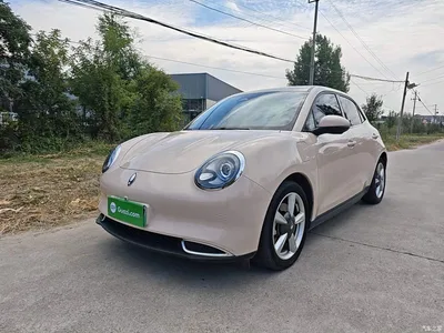 2023 Ora Good Cat 401km Standard Range Honor Edition (LFP), фото 1, лот 10387827