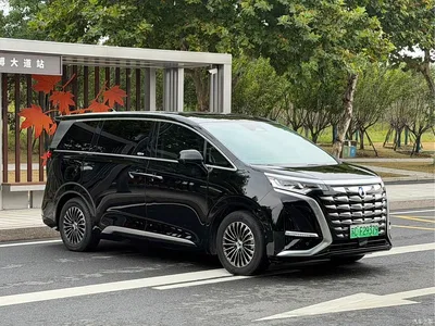 2024 Denza D9 DM-i 1050 Premium, фото 3, лот 11249748