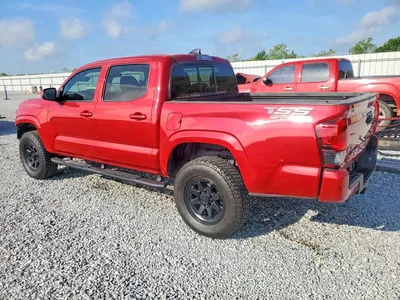 2023 TOYOTA TACOMA SR V6, фото 2, лот 10559264