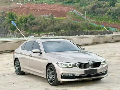 2018 BMW 5 Series 530Li xDrive Luxury Package, фото 2, лот 10445995