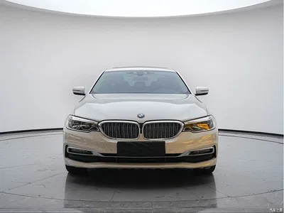 2019 BMW 5 Series New Energy 530Le Luxury Package, фото 2, лот 11134095