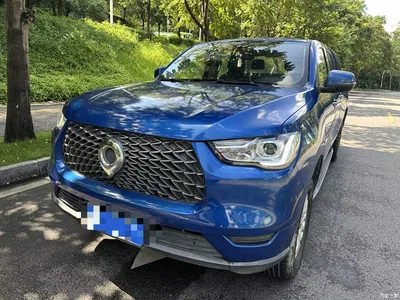 2020 Great Wall Pao Model 2.0T Commercial Automatic Diesel 2WD Elite Long Bed GW4D20M, фото 1, лот 10246183