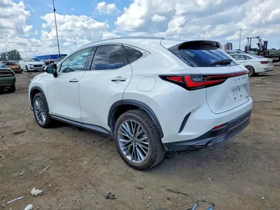 2024 LEXUS NX 350H LUXURY, фото 2, лот 10900169