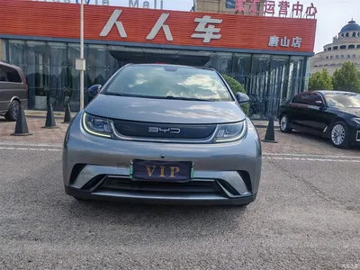 2023 BYD Dolphin 420km Fashion Edition, фото 2, лот 10479522