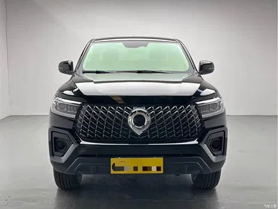 2024 Great Wall Pao Model 2.4T Commercial Version Automatic Diesel 2WD Elite Type, фото 2, лот 10626445