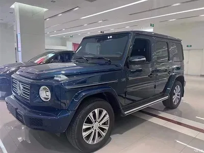 2020 Mercedes-Benz G-Class G 350, фото 1, лот 10257230