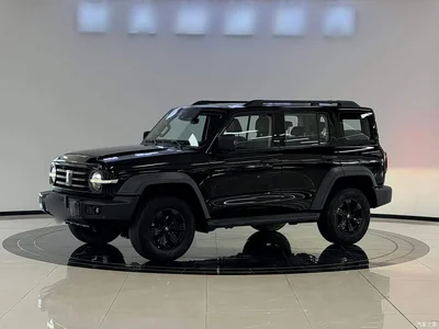 2021 Tank 300 Off-road Version 2.0T Conqueror, фото 2, лот 10345502