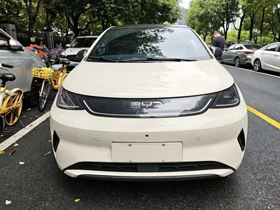 2025 BYD Dolphin Smart Drive Edition 410km Fashion Version, фото 2, лот 11195209