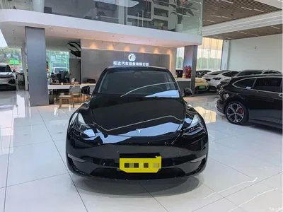 2022 Tesla Model Y Performance High-Performance All-Wheel Drive Version, фото 2, лот 11579357