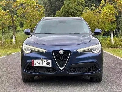 2017 Alfa Romeo Stelvio 2.0T 200HP Luxury Edition, фото 2, лот 11451063