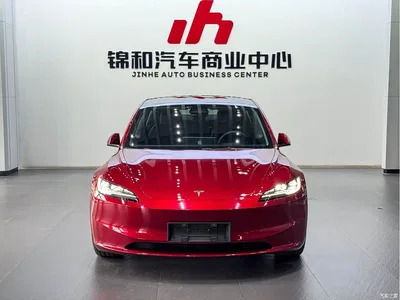 2023 Tesla Model 3 Long Range All-Wheel Drive, фото 2, лот 10358910